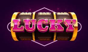 3D togel bet type explained